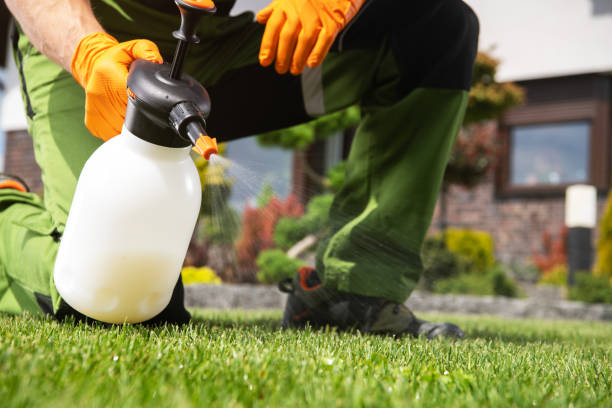 Best Pest Prevention Services  in Prospect, PA