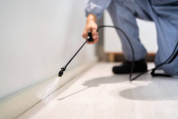 Flea Control Services in Prospect, PA