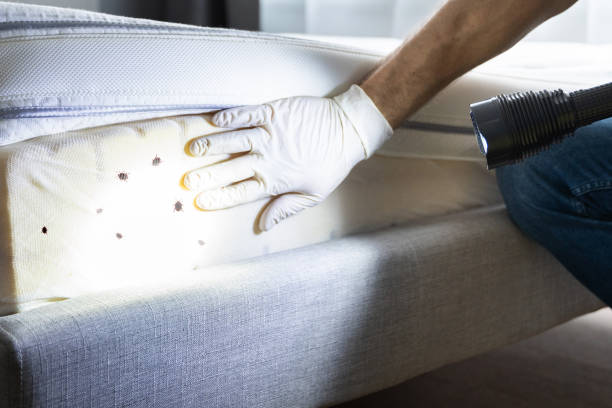 Best Wildlife Control Services  in Prospect, PA