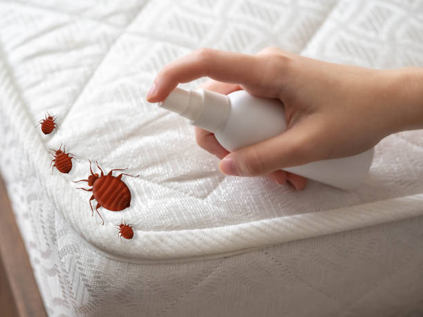 Insect Control in Prospect, PA