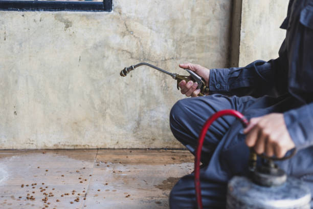 Best Mosquito Control Services  in Prospect, PA